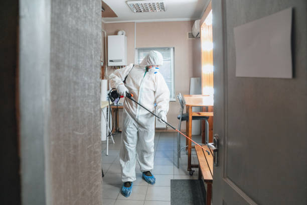 Mold Remediation for Rental Properties in Swartz Creek, MI