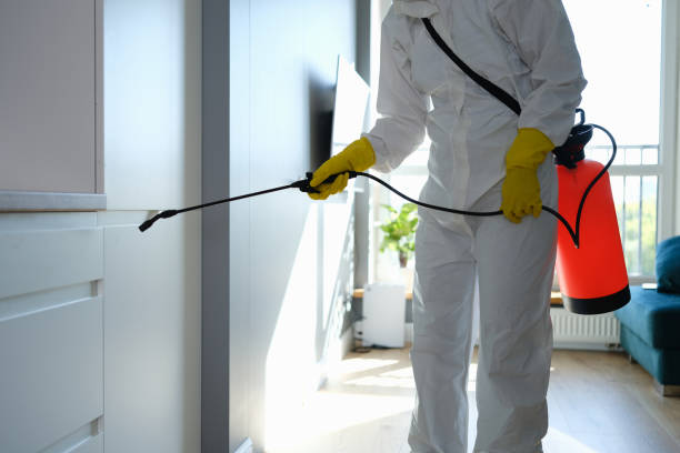 Best Mold Remediation for Rental Properties  in Swartz Creek, MI