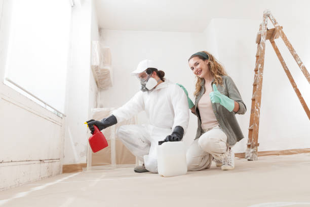 Best Industrial Mold Remediation  in Swartz Creek, MI